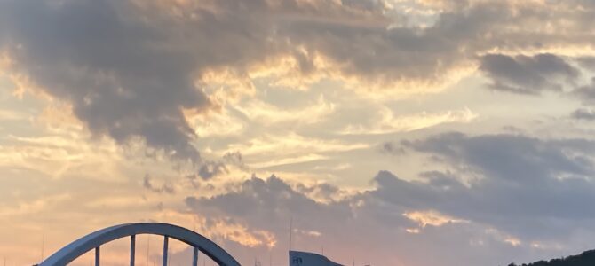 【ご報告】花金・日本平夜市・輪くぐり_6月27-30日 【ご報告】花金・日本平夜市・輪くぐり_6月27-30日